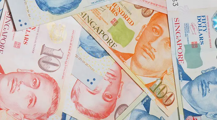 Where Can I Borrow Money in Singapore? A Guide to Your Options